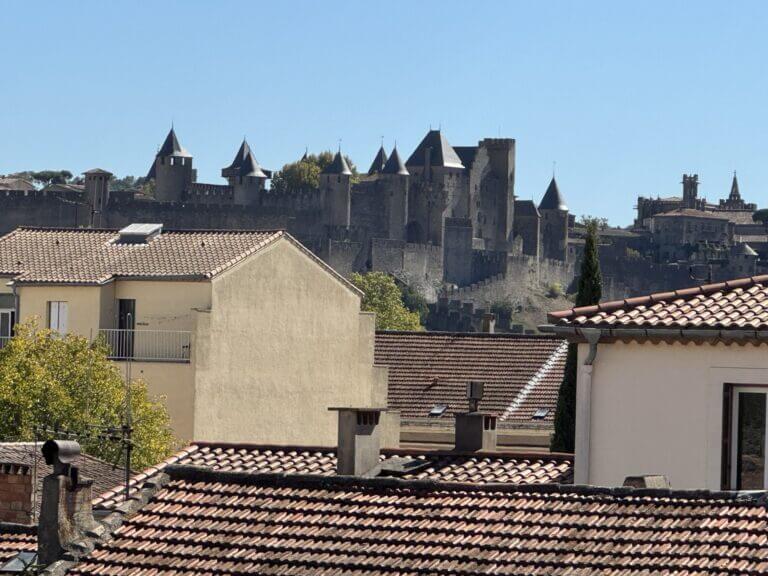 Magnifique T3 avec 2 balcons et VUE Cité